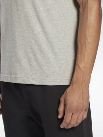 Футболка Reebok Ri Big Logo Tee модель HD4219 Фото