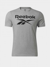 Футболка Reebok Ri Big Logo Tee модель HD4219 Фото