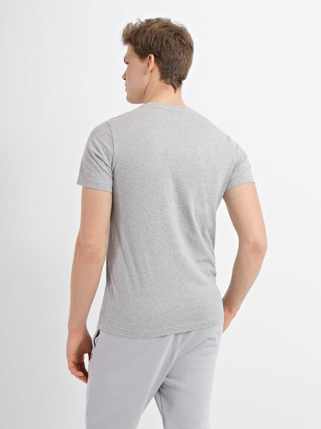 Футболка Reebok Ri Big Logo Tee модель HD4219 Фото