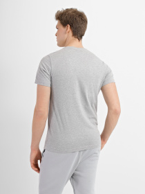 Футболка Reebok Ri Big Logo Tee модель HD4219 Фото