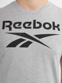 Футболка Reebok Ri Big Logo Tee модель HD4219 Фото