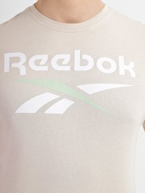 Футболка Reebok Ri Big Logo Tee модель HD4221 Фото