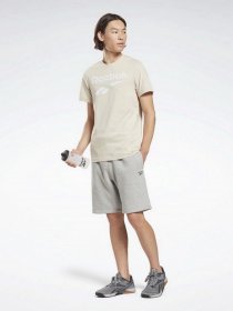 Футболка Reebok Ri Big Logo Tee модель HD4221 Фото