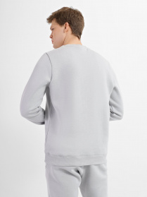 Світшот Reebok Identity Fleece Crew модель HG4446 Фото