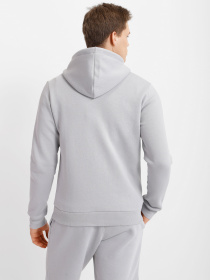 Кофта спортивная Reebok Ri Left Chest Logo модель HG4451 Фото