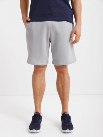 Повсякденні шорти Reebok Ri Left Leg Logo Sh модель HG4454 Фото