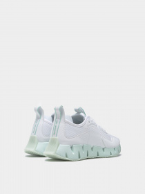 Кроссовки для бега Reebok Zig Dynamica модель 0B963 Фото
