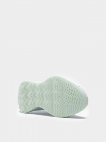 Кроссовки для бега Reebok Zig Dynamica модель 0B963 Фото