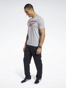 Спортивні штани Reebok Essentials модель 0B998 Фото