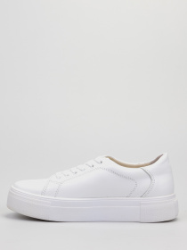 Кеды низкие Torsion модель 4511 Фото