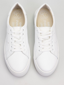 Кеды низкие Torsion модель 4511 Фото