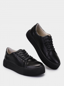 Кеды низкие Torsion модель 4511-01 Фото