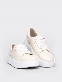 Кеды низкие Torsion модель 4512-04 Фото