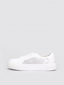 Кеды низкие Torsion модель 5507 Фото