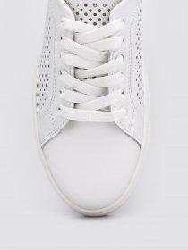 Кеды низкие Torsion модель 5507 Фото