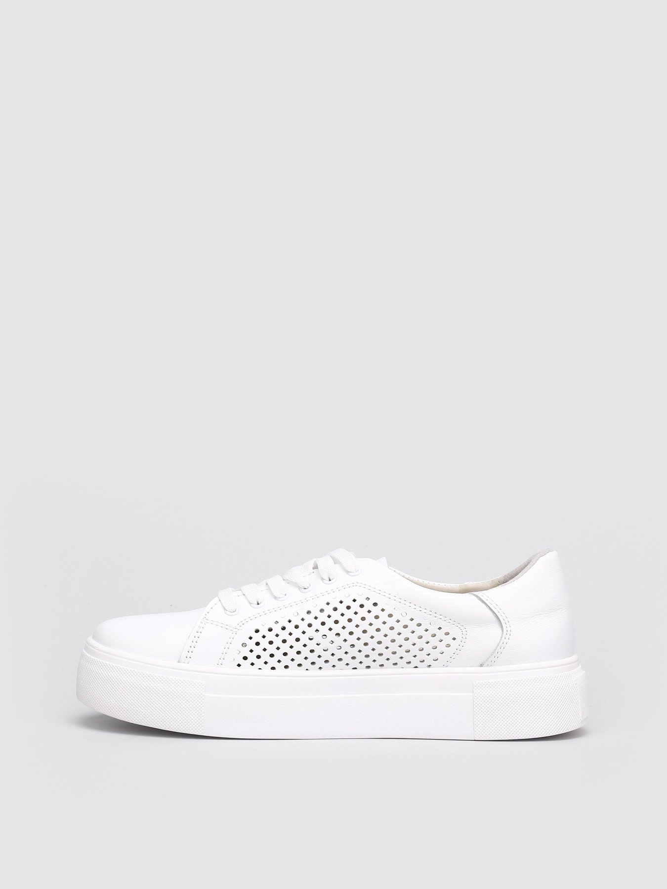 Кеди низькі Torsion модель 5507 Фото