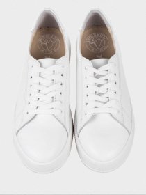 Кеды низкие Torsion модель 4502 Фото