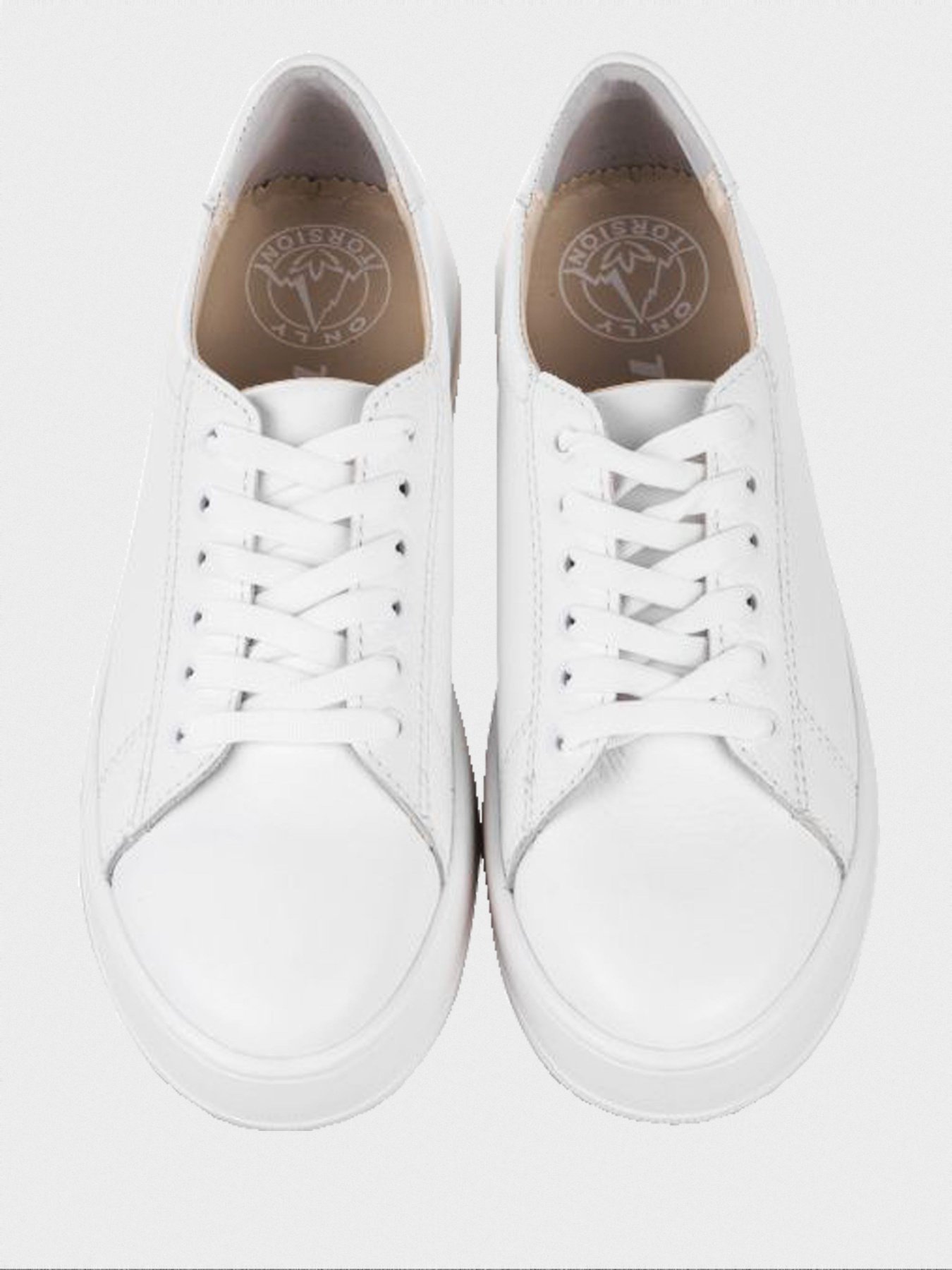 Кеди низькі Torsion модель 4502 Фото