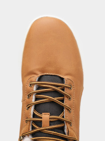 Ботинки Crosby модель 418262/02-02 Фото