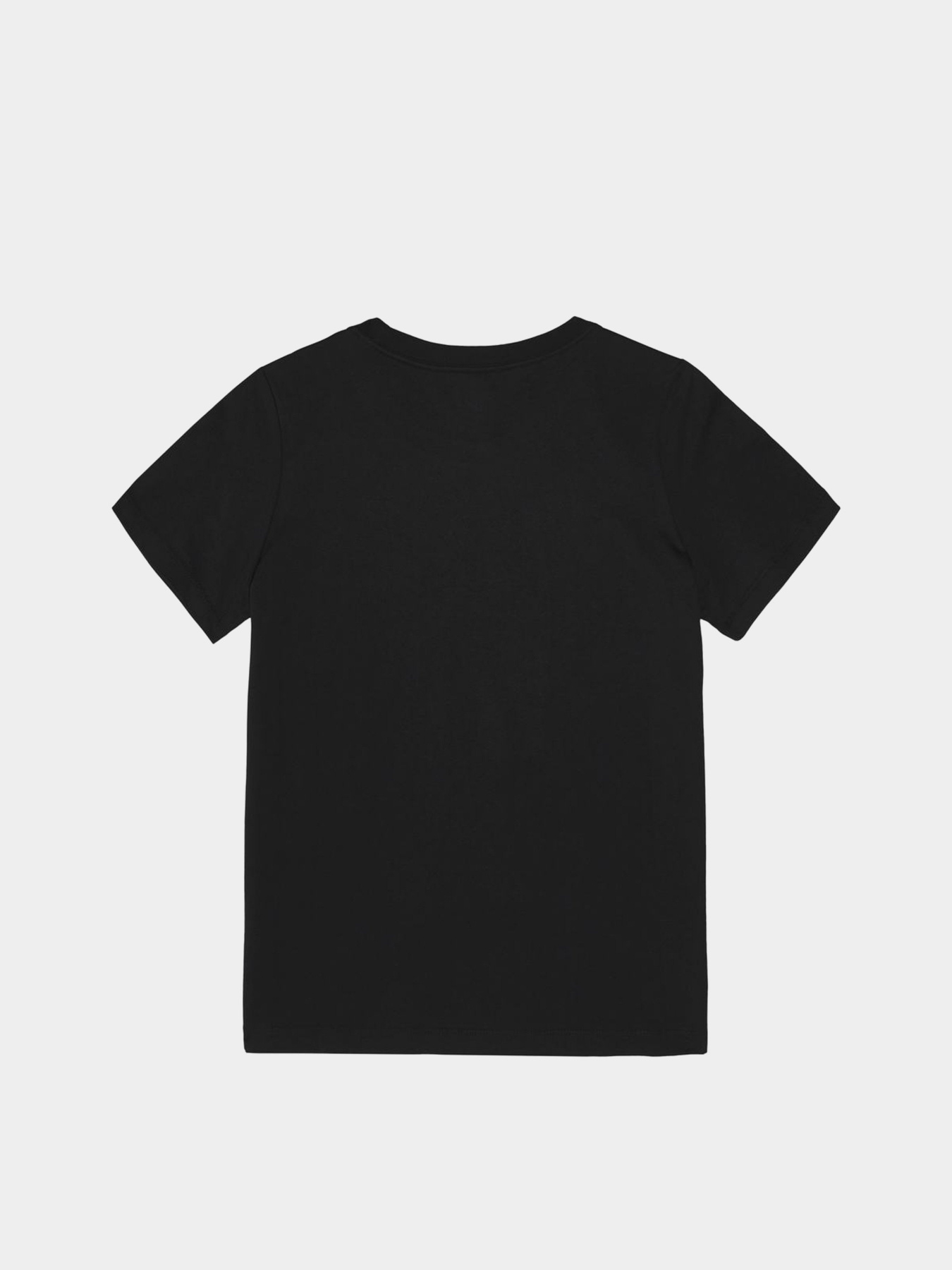 Футболки и поло CONVERSE Center Front Logo модель 10018569-001 Фото