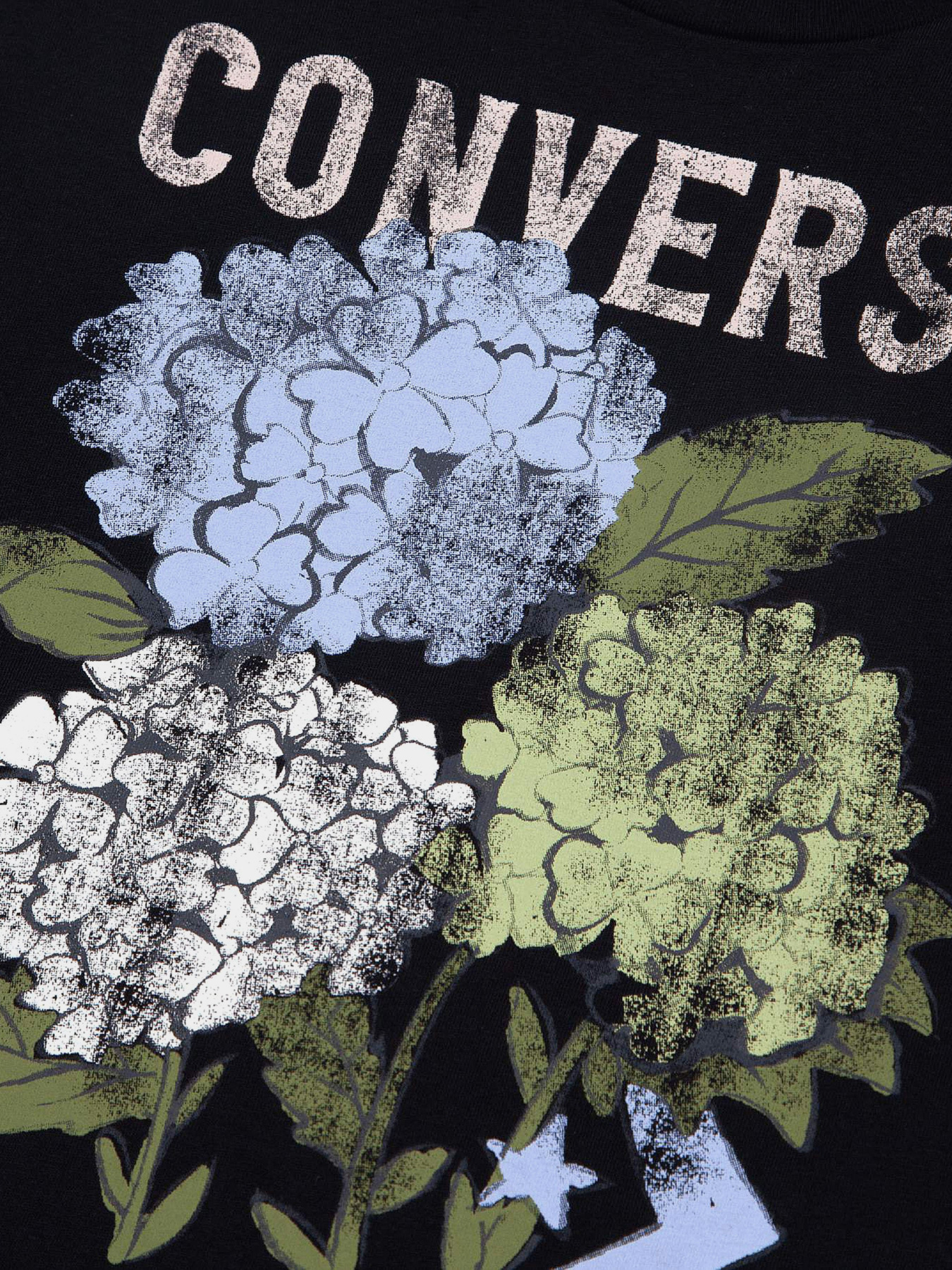 Футболка CONVERSE Outdoor Floral Art модель 10025184-001 Фото