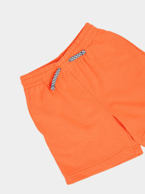 Шорти спортивні CONVERSE Trail Mix Short модель 9CG723-R7L Фото