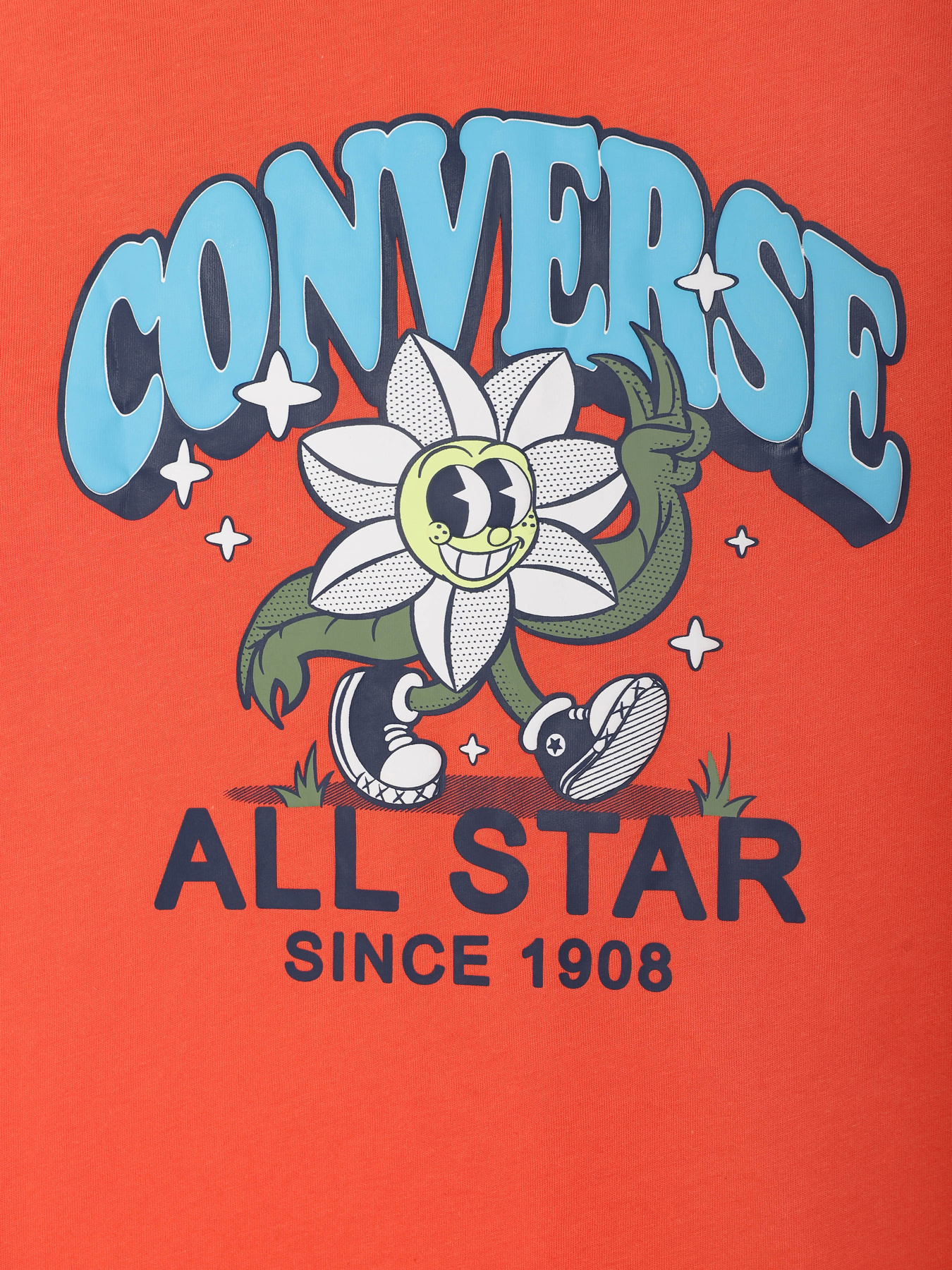 Футболка спортивна CONVERSE Trail Mix Flower GFX T-Shirt модель 9CG892-R7L Фото
