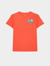 Футболка спортивная CONVERSE TRAIL MIX FLOWER GFX T-SHIRT модель 9CG892-R7L Фото