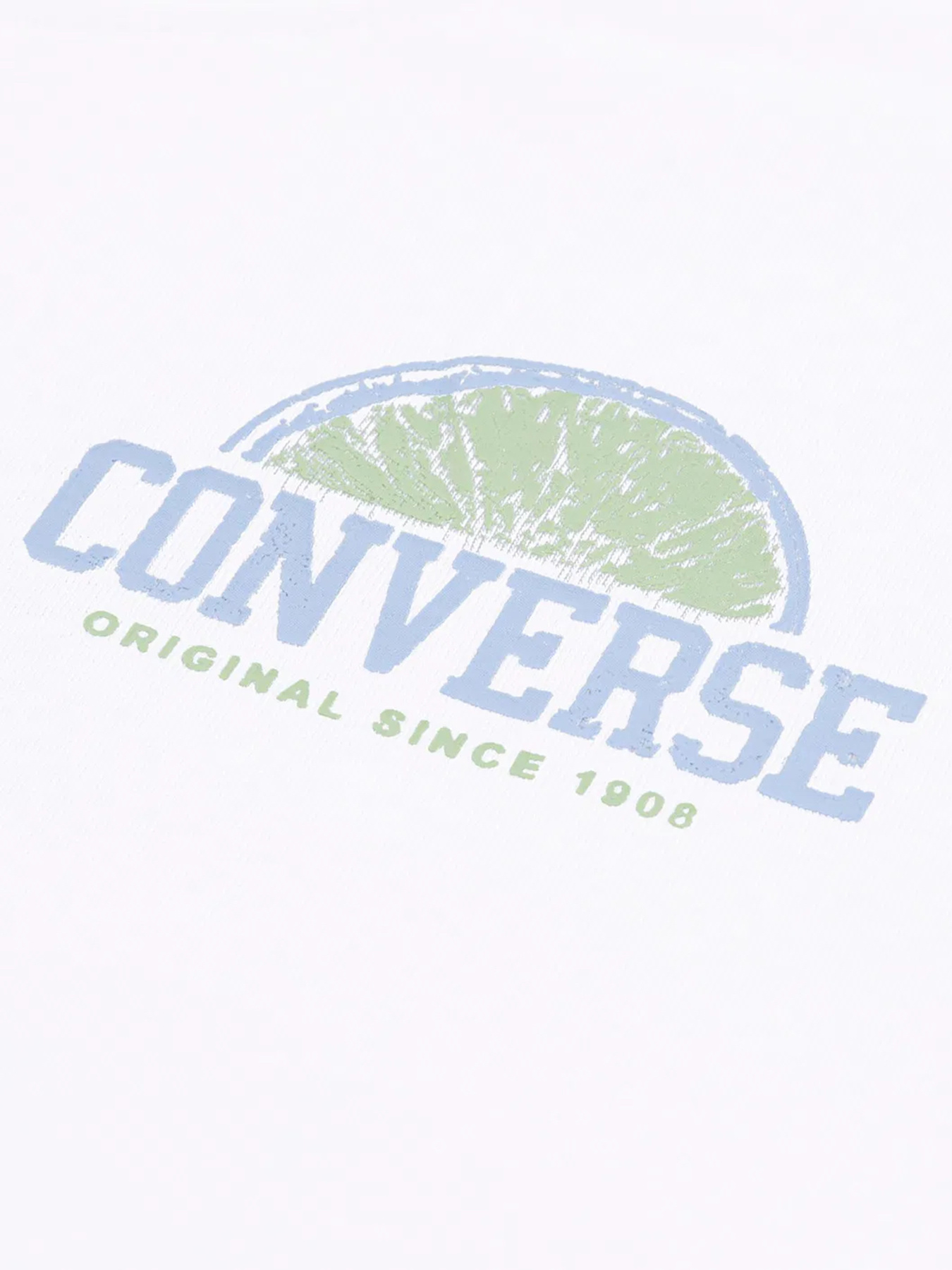 Футболка спортивна CONVERSE FRONT BACK FRUIT BOXY TEE модель 4CG915-001 Фото
