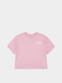 Спортивная футболка CONVERSE FRONT BACK FRUIT BOXY TEE модель 4CG915-AJL Фото