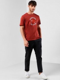 Футболки и поло CONVERSE модель 10007887-225 Фото