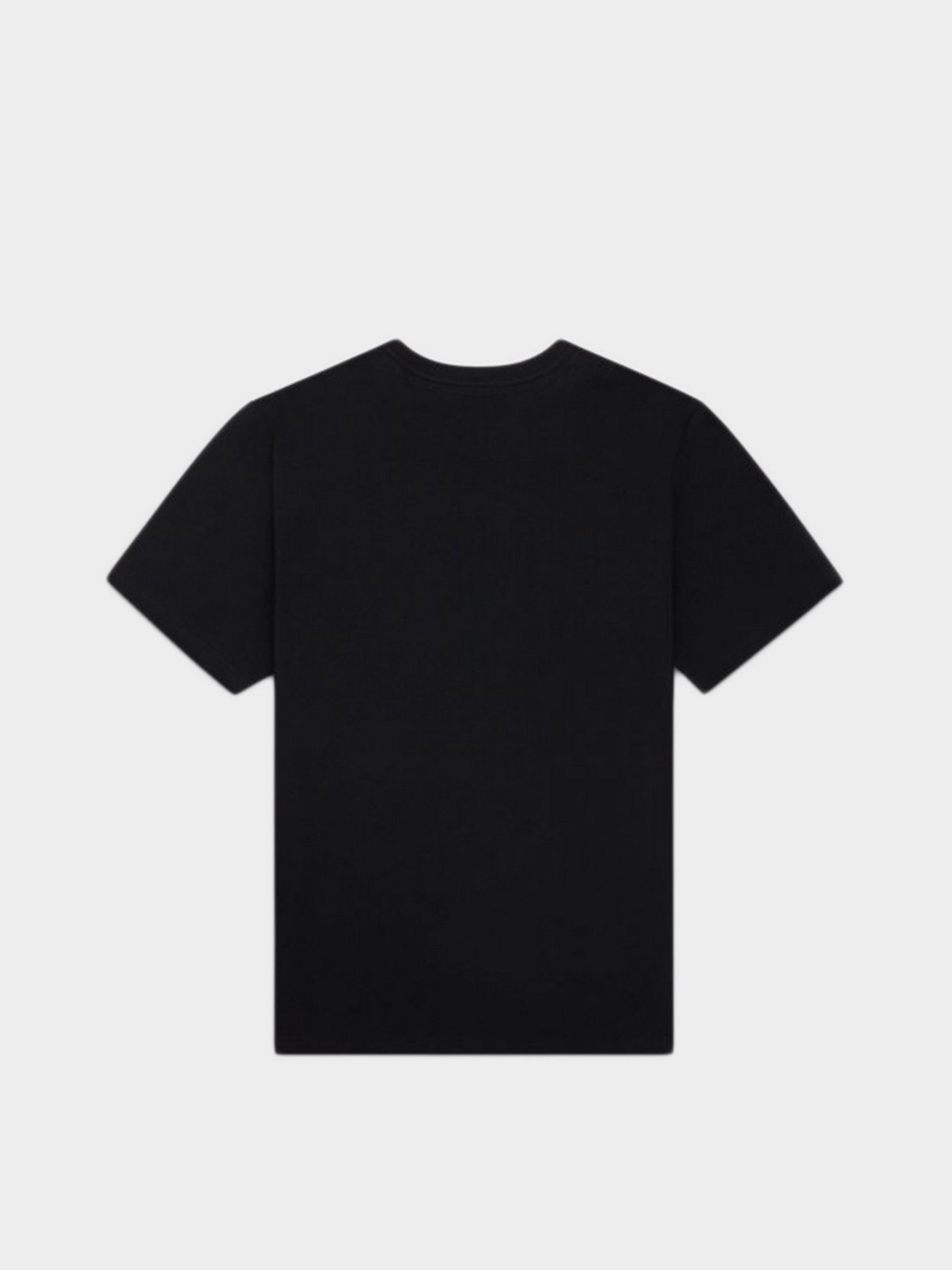 Футболки і поло CONVERSE модель 10020224-001 Фото