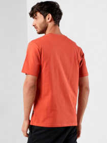 Футболки і поло CONVERSE модель 10020224-626 Фото