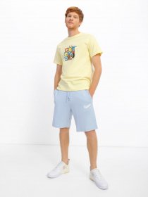 Шорты CONVERSE Embroidered Star Chevron модель 10018228-443 Фото