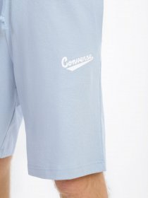 Повсякденні шорти CONVERSE Embroidered Star Chevron модель 10018228-443 Фото