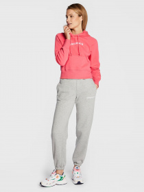 Худи CONVERSE Strip Wordmark Fleece модель 10023717-665 Фото