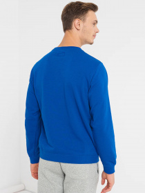 Світшот CONVERSE Chuck Patch модель 10023855-400 Фото