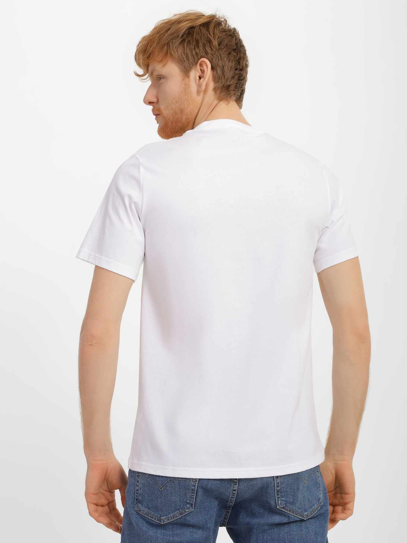 Футболка CONVERSE Shoe Hero модель 10025060-102 Фото