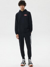 Худі CONVERSE Shoe Hero модель 10024614-001 Фото