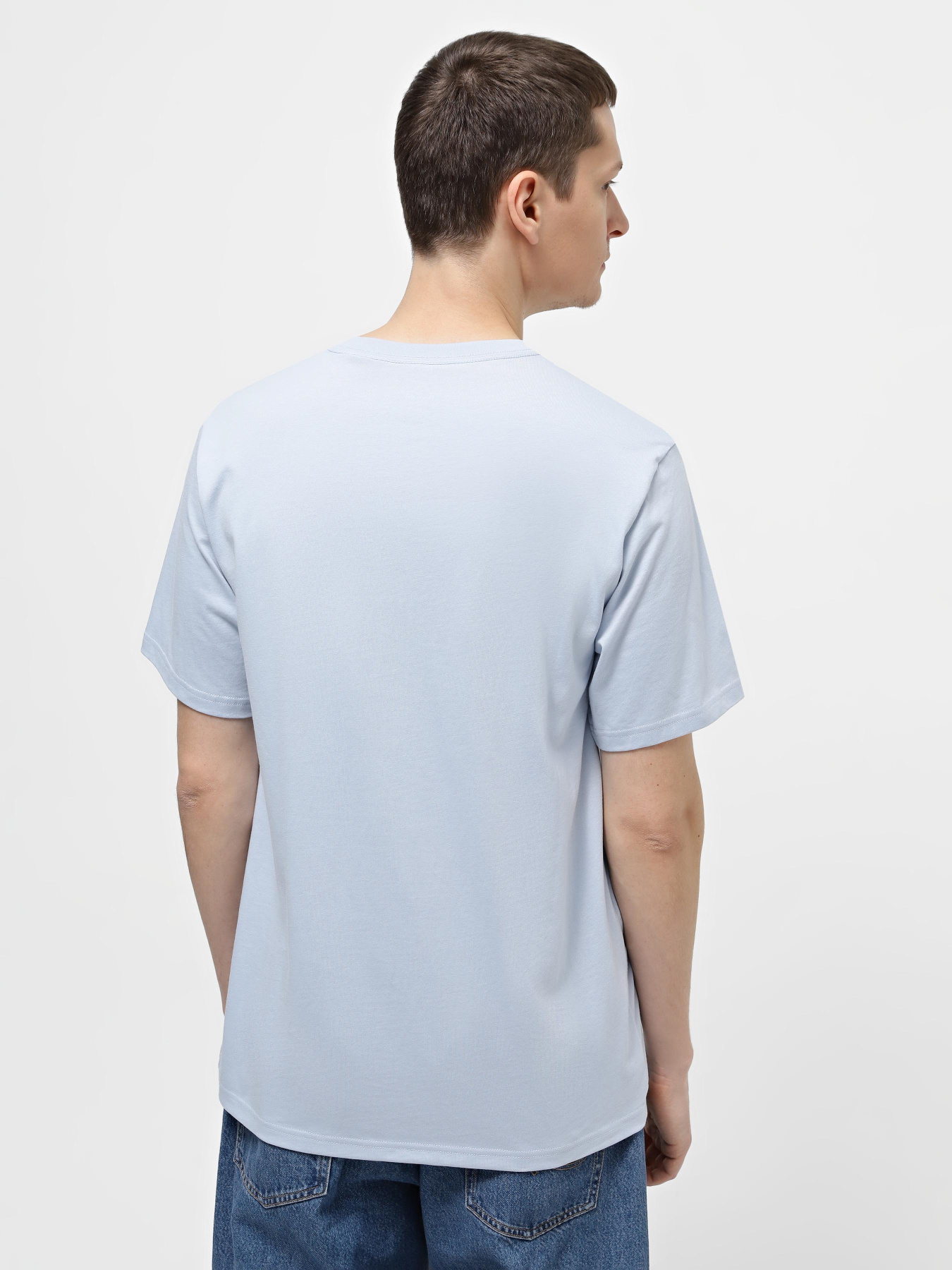 Футболка CONVERSE Standard Fit Center Front Large Logo Star Chev Ss модель 10025458-050 Фото