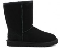 Сапоги и ботфорты UGG модель 5800-BLK Фото