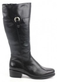 Сапоги и ботфорты Janita модель J41669-0501-93F23101 Фото