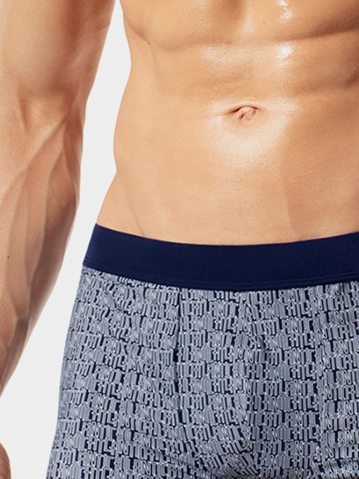 Плавки Atlantic модель KMS-307 GRA Фото