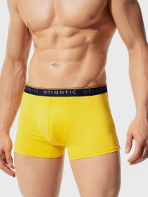 Труси Atlantic модель MH-1127 ZOL Фото