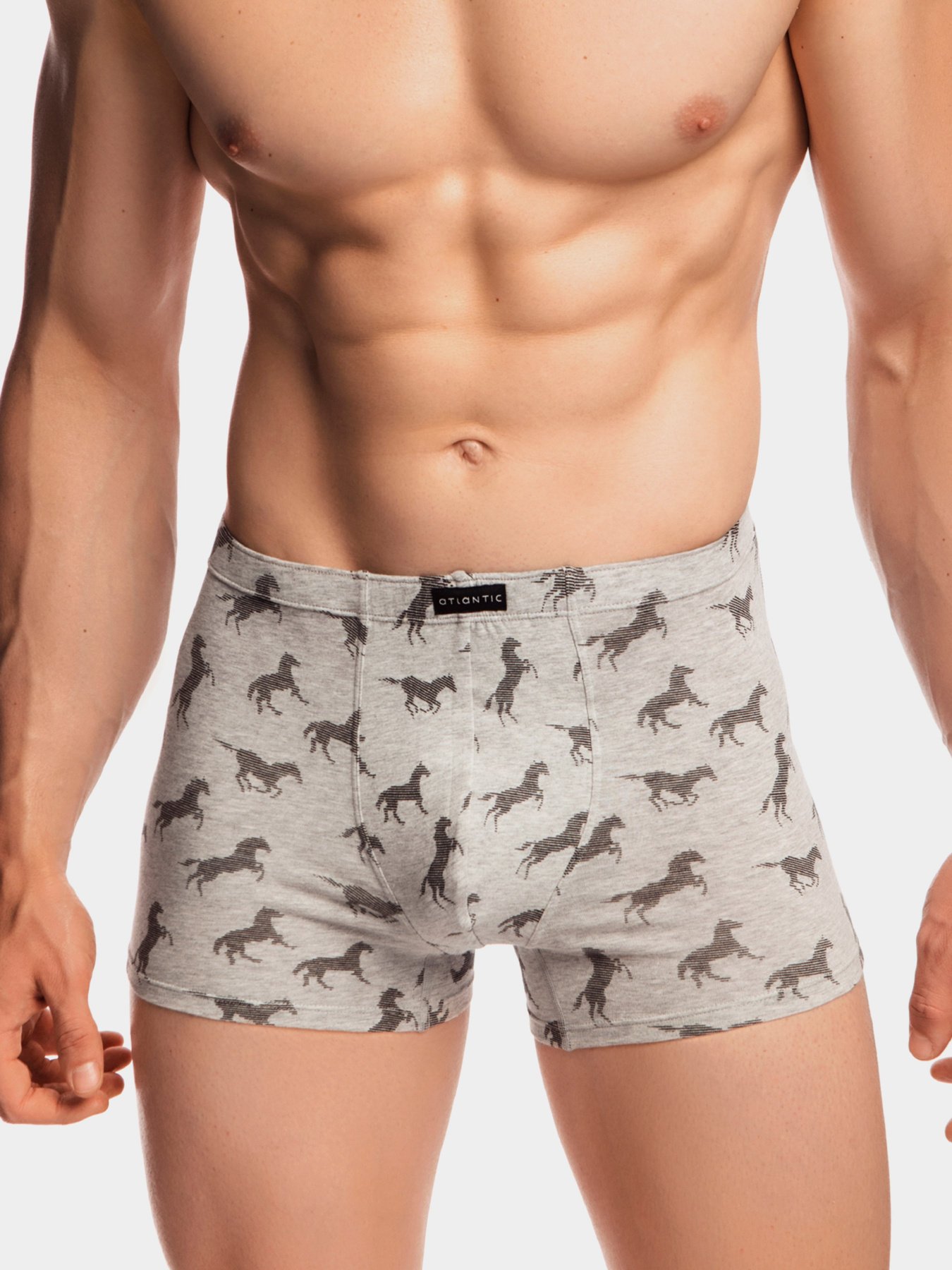 Трусы Atlantic модель MH-1149 SZM Фото