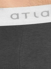 Труси Atlantic модель BMH-012N GRF Фото