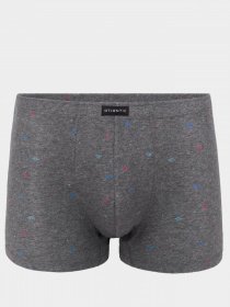 Труси Atlantic модель MH-1148 GRA Фото