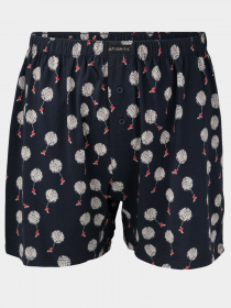 Труси Atlantic модель MBX-655 GRA Фото