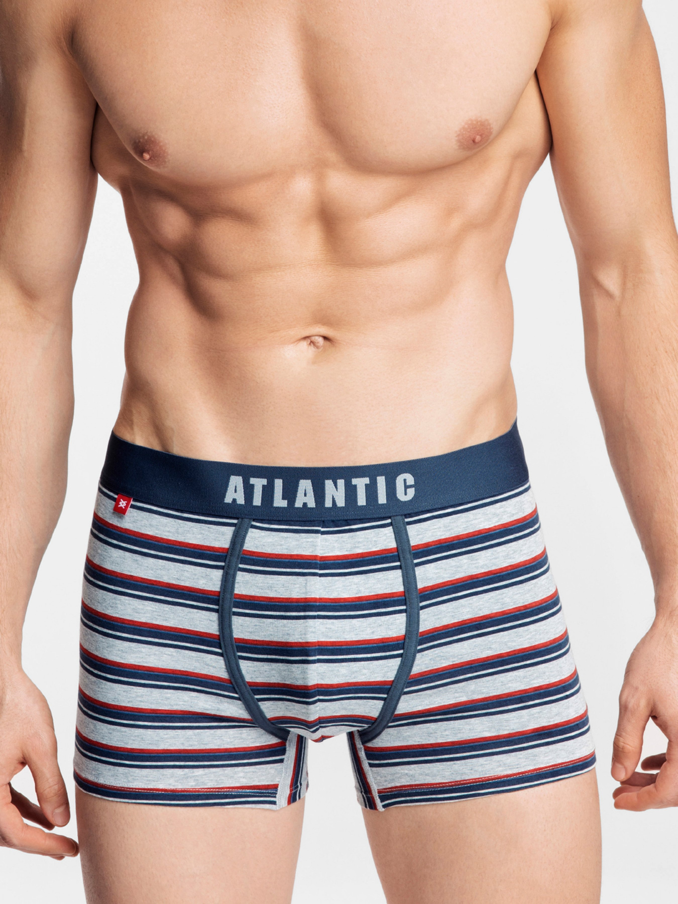 Набор трусов Atlantic модель 2MH-1184 SZM/NIE Фото