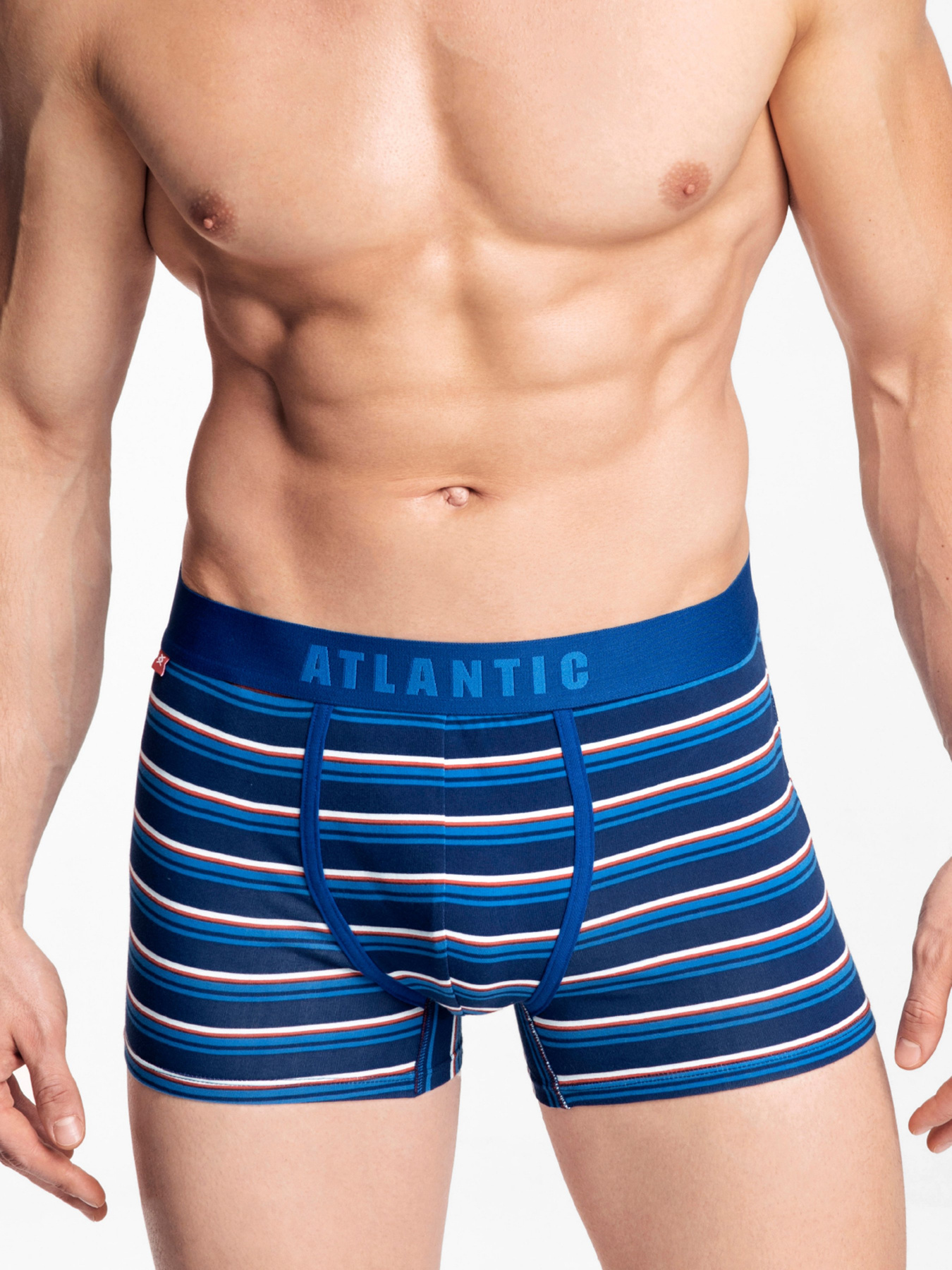 Набір трусів Atlantic модель 2MH-1184 SZM/NIE Фото
